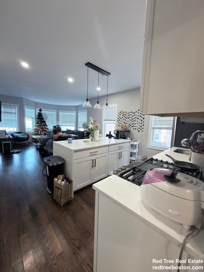 156 Hillside St in Boston, MA - Building Photo - Building Photo