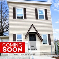 910 Elias Ave in St. Louis, MO - Building Photo