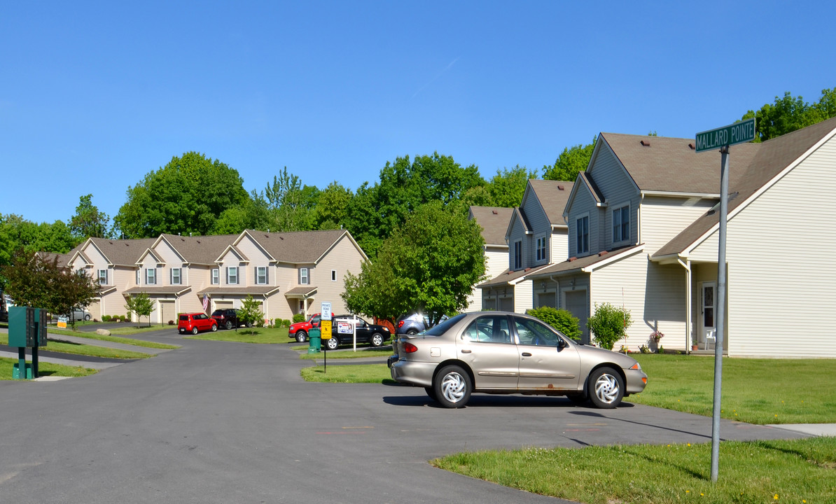 Maple Grove in Farmington, NY - Building Photo