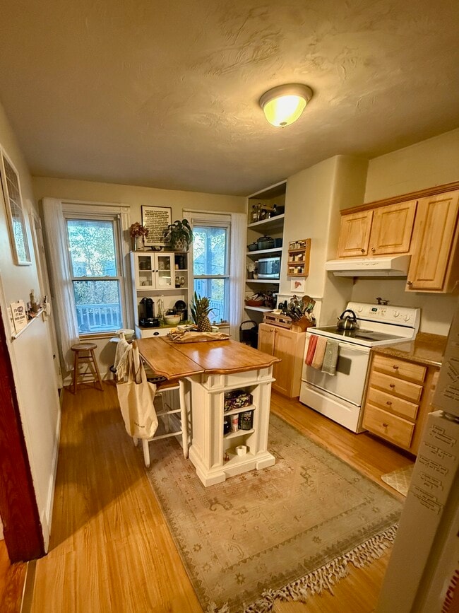 931 E 4th St, Unit 2 in Boston, MA - Building Photo - Building Photo