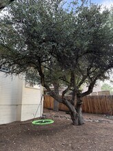 242 W Rosser St in Prescott, AZ - Building Photo - Building Photo