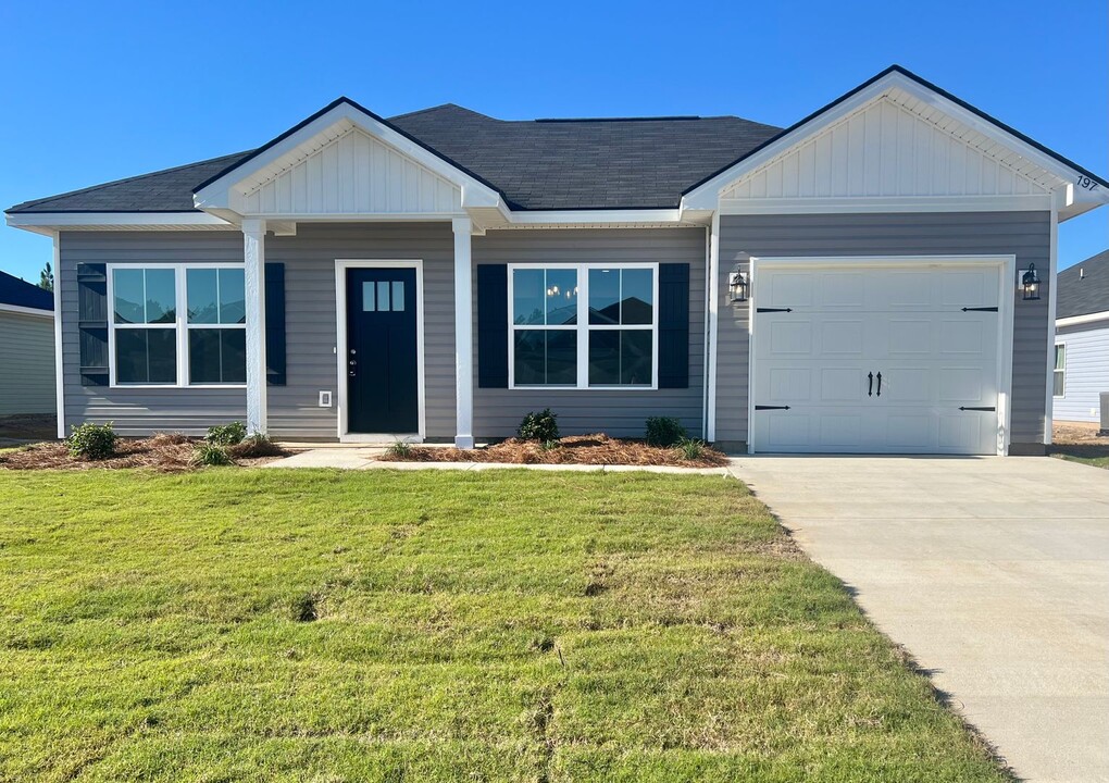 197 Franklin Tree Dr in Ludowici, GA - Building Photo