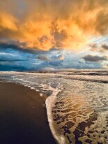 3443 Gulf Shore Blvd N in Naples, FL - Building Photo