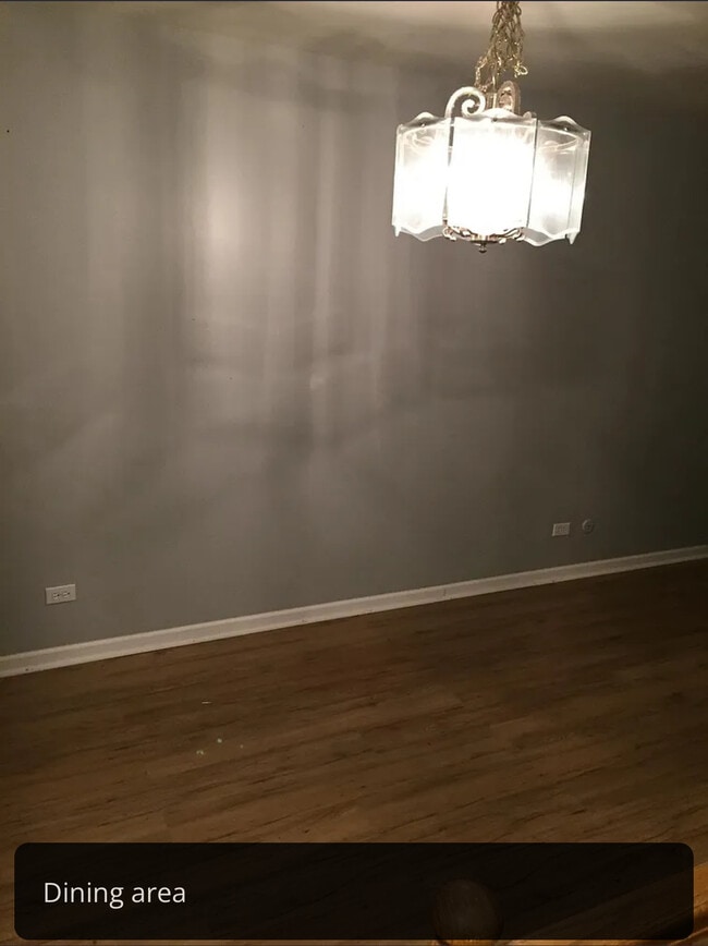 195 Rob Roy Ct in Schaumburg, IL - Building Photo - Building Photo