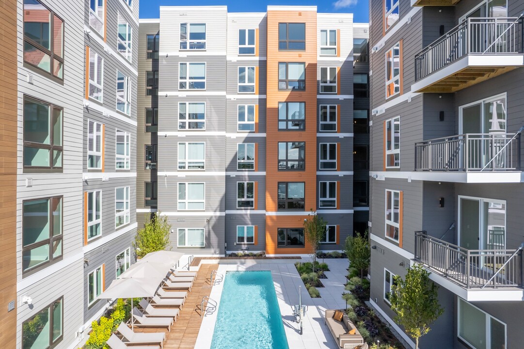 Arris in Somerville, MA - Foto de edificio