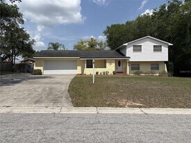 1008 Lady Guinevere Dr in Valrico, FL - Building Photo