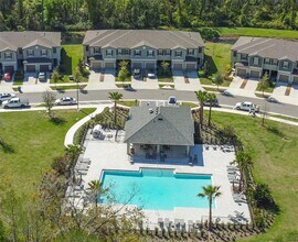 17608 Nectar Flume Dr in Land O Lakes, FL - Building Photo - Building Photo