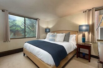 1024 E Hopkins Ave in Aspen, CO - Building Photo - Building Photo