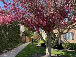 2016 Maple Ave in Northbrook, IL - Building Photo - Building Photo