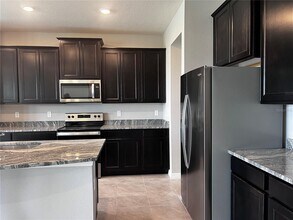 13154 Brookside Moss Dr in Riverview, FL - Building Photo - Building Photo