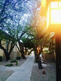 Mature trees - Cliff Dwellers Apartamentos in El Paso, Texas