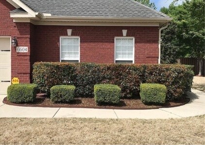 6604 Lizzie Ln SE in Owens Cross Roads, AL - Building Photo