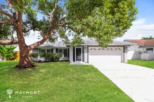 2825 Wendover Terrace in Palm Harbor, FL - Building Photo