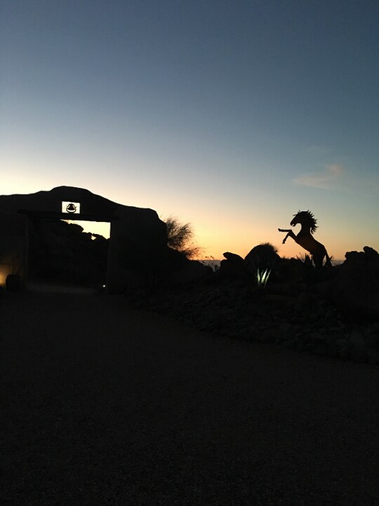 56250 Las Rocas in Mountain Center, CA - Building Photo