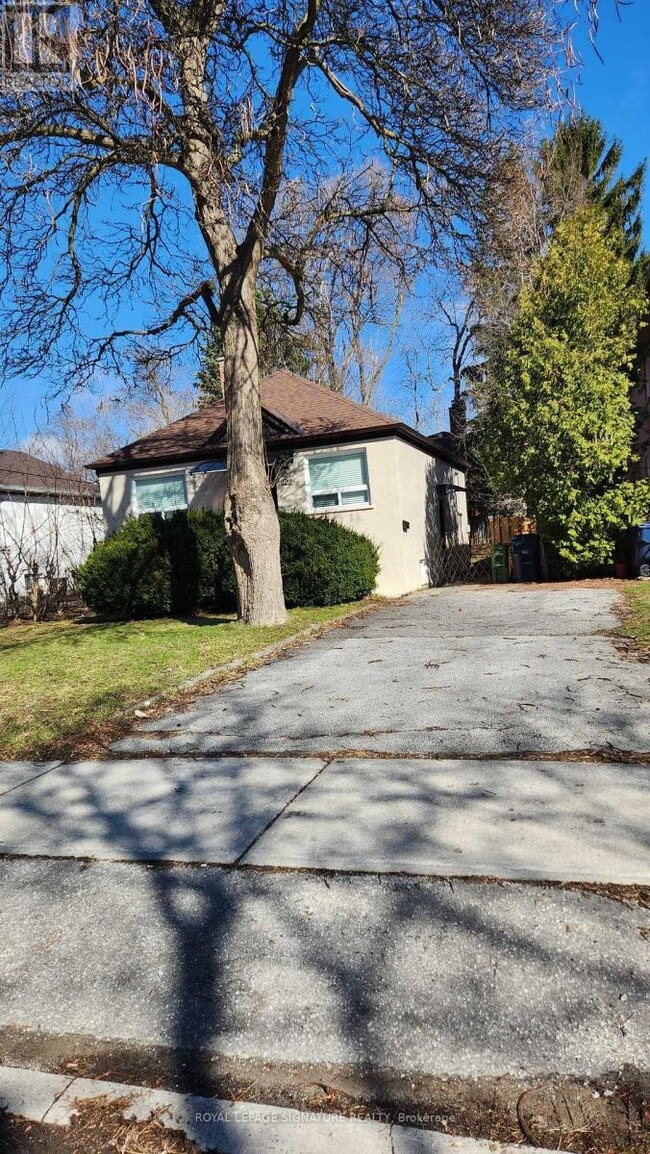 126 Olive Ave in Toronto, ON - Building Photo - Building Photo