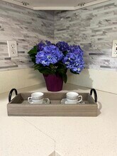 7602 Lexington Ave, Unit 12 in West Hollywood, CA - Foto de edificio - Building Photo