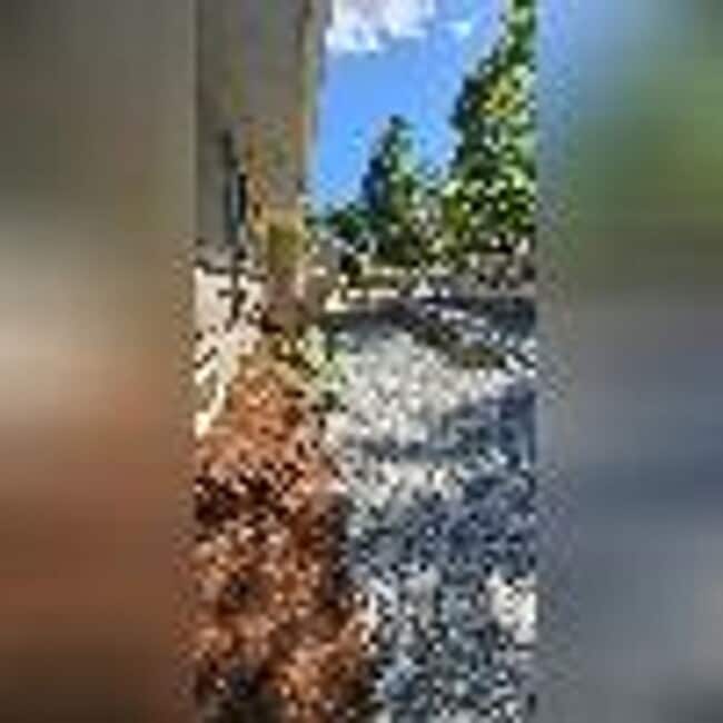 11030 Roseberg Ave S in Seattle, WA - Building Photo - Building Photo