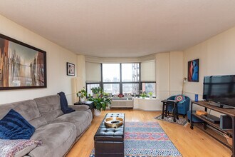 899 S Plymouth Ct in Chicago, IL - Building Photo - Building Photo