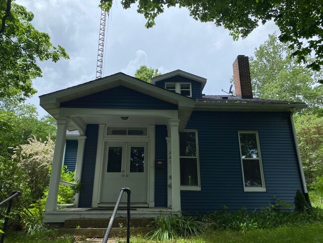 221 N 8th St in Petersburg, IL - Building Photo - Building Photo