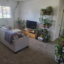1800 Pecan St-Unit -Unit 1 in Fort Collins, CO - Building Photo - Building Photo