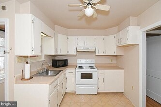 254 Morris St in Phoenixville, PA - Building Photo - Building Photo