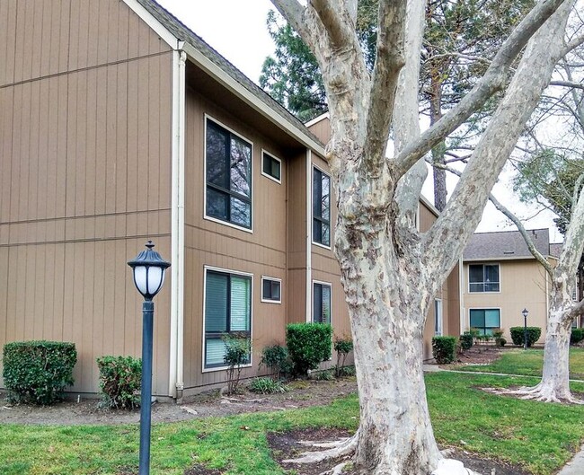 9025 Alcosta Blvd in San Ramon, CA - Building Photo - Building Photo