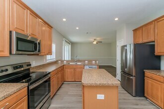 5729 Sweet William Terrace in Land O Lakes, FL - Building Photo - Building Photo