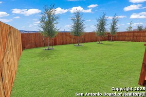 183 Ringed Plover in San Antonio, TX - Building Photo - Building Photo