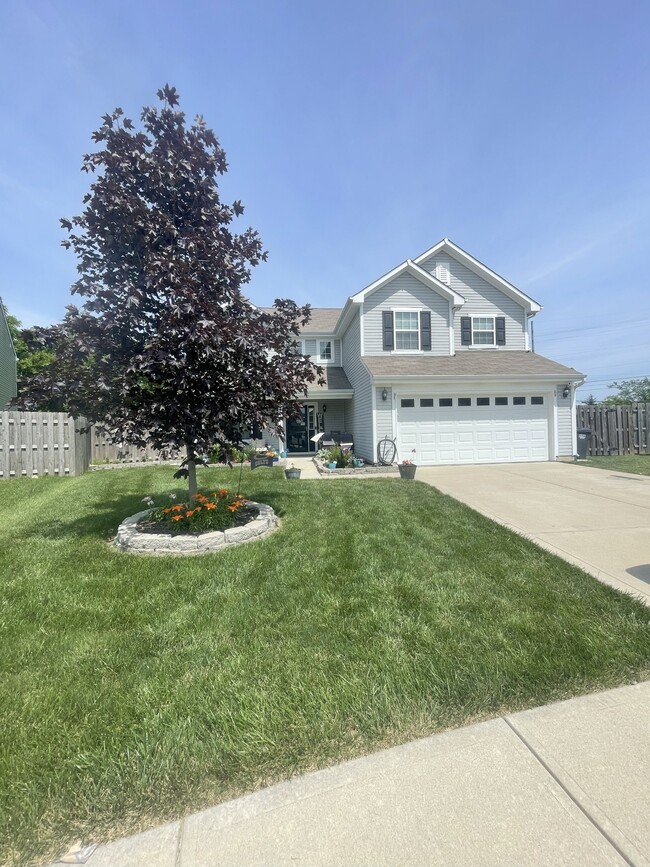 2164 Sungold Ct in Greenwood, IN - Building Photo - Building Photo