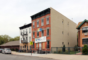203 Marion St in Brooklyn, NY - Building Photo