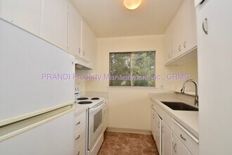 104 Wisteria Way in Mill Valley, CA - Building Photo - Building Photo