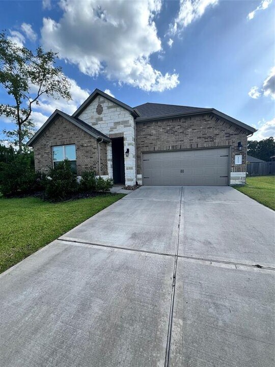 14223 Volcano Perch Dr in Shenandoah, TX - Building Photo