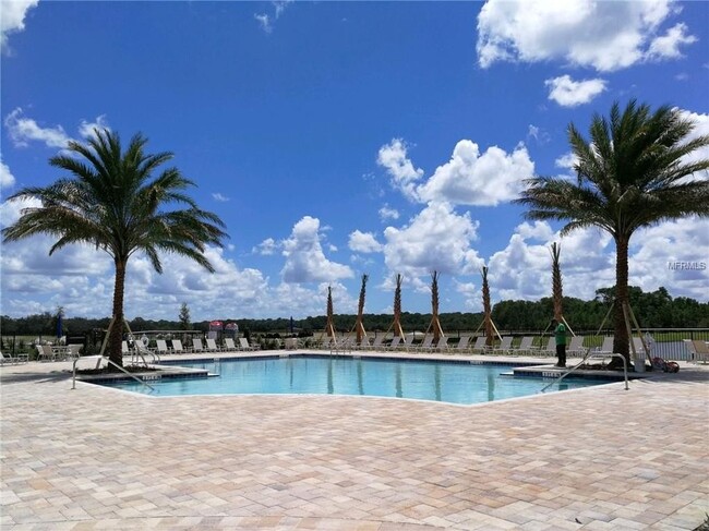 11019 Redbud Woods Ln in Orlando, FL - Building Photo - Building Photo