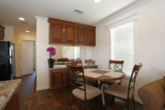 Rainbow MH & RV Resort in Frostproof, FL - Foto de edificio - Interior Photo