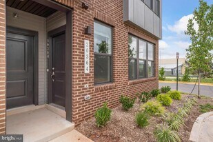 20364 Newfoundland Sq in Ashburn, VA - Building Photo