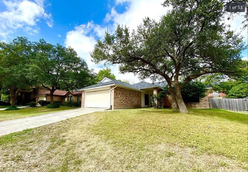 7705 Forest Fern Photo