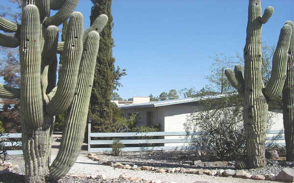 260-270 N Shannon Rd in Tucson, AZ - Building Photo