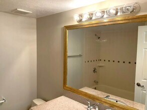 313 Spring Creek Ave in Brandon, FL - Building Photo - Building Photo
