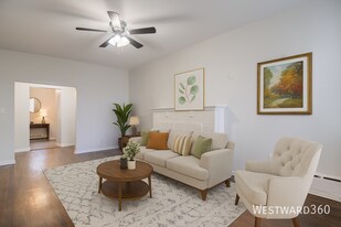 310 S Springfield Ave in Chicago, IL - Building Photo