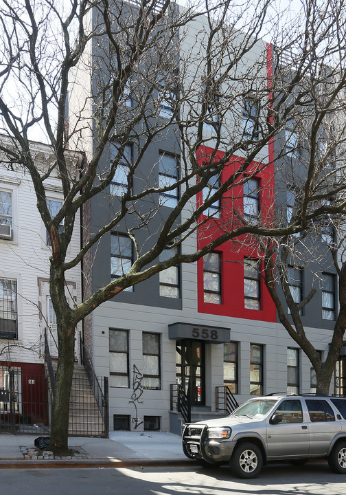 558 Gates Ave in Brooklyn, NY - Building Photo