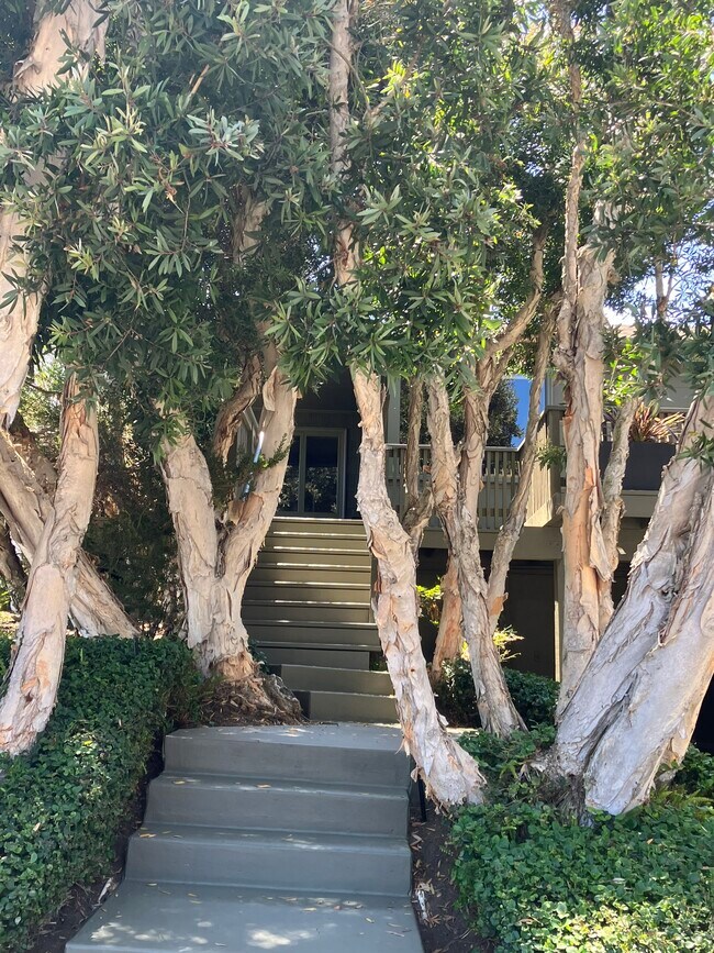 1225 Silverado St in San Diego, CA - Building Photo - Building Photo