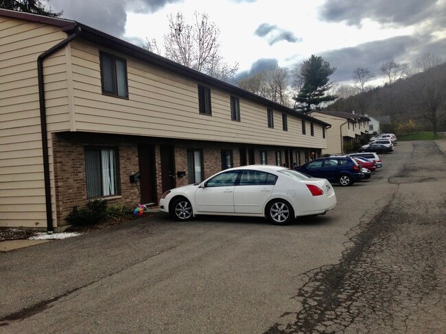 3 Norton Dr
