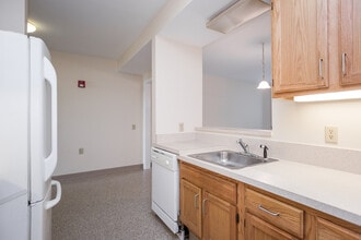 York Street Properties in Hartford, CT - Building Photo - Building Photo