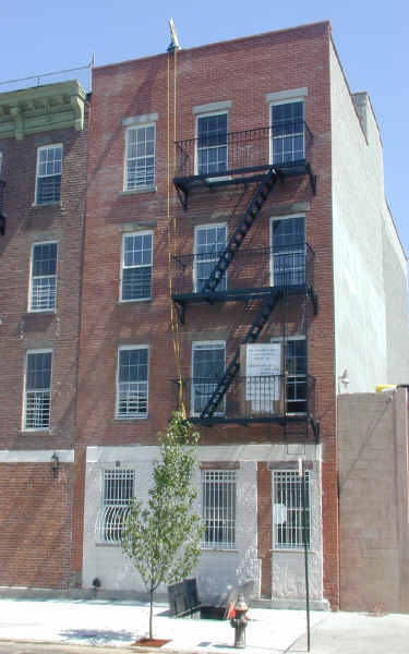 579 Washington Ave in Brooklyn, NY - Building Photo