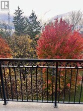 7373 Martin Grove Rd in Vaughan, ON - Building Photo - Building Photo