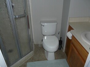 3001 S Michigan Ave-Unit -2101 in Chicago, IL - Building Photo - Building Photo