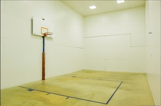 211 E Ohio St in Chicago, IL - Foto de edificio - Building Photo