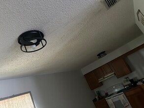 321 E Primrose Ln in Lady Lake, FL - Foto de edificio - Building Photo