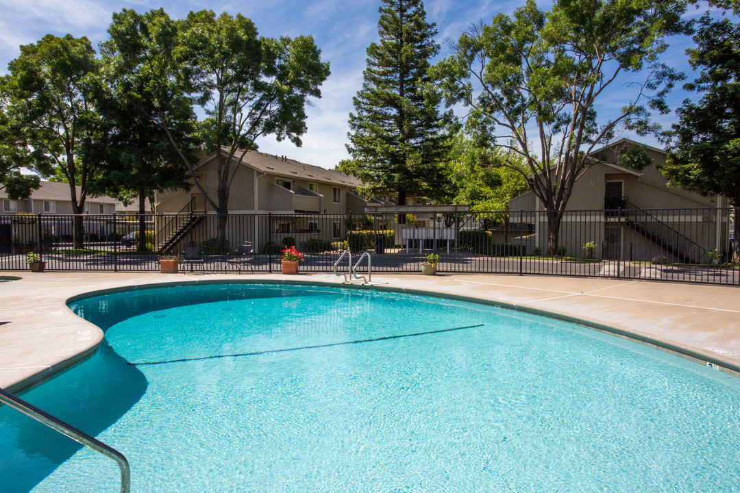 Auburn Creek Apartments in Lincoln, CA - Building Photo