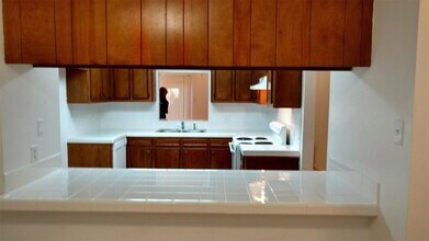 34 Green Bough Ct in The Woodlands, TX - Building Photo - Building Photo